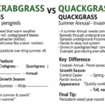 difference between crabgrass and quackgrass