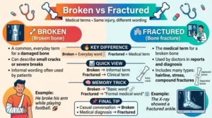 difference between broken and fractured
