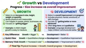 difference between growth and development