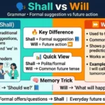 difference between shall and will