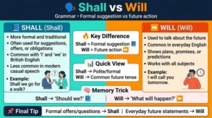 difference between shall and will