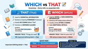 difference between which and that